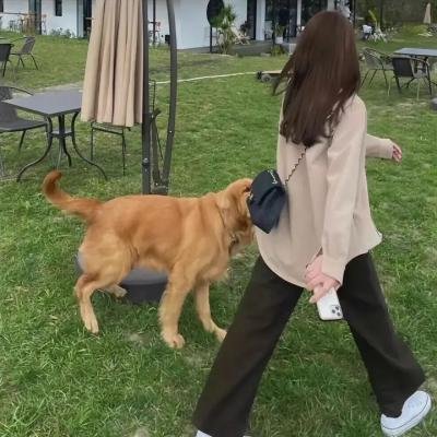 农夫娶妻